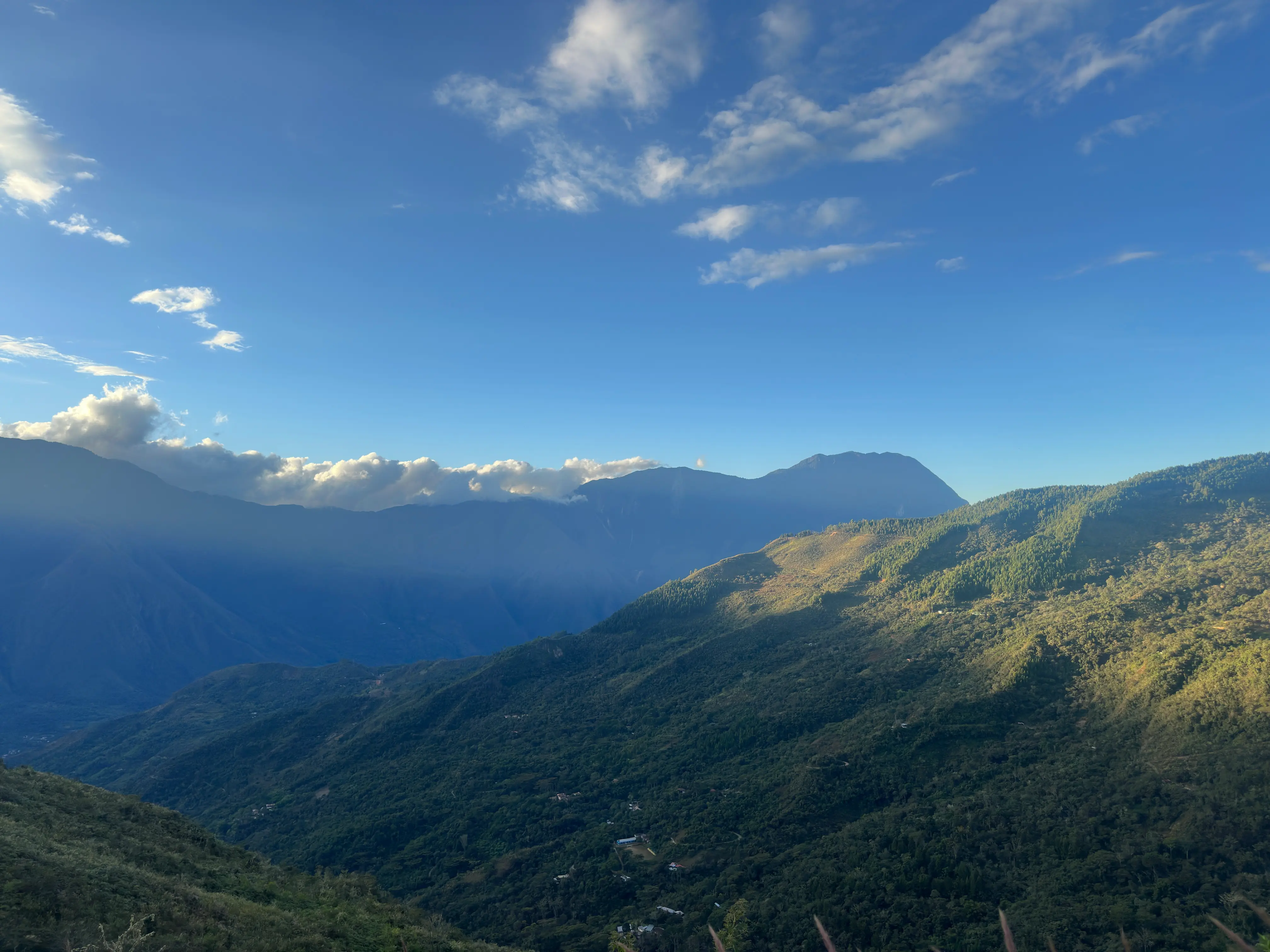 Paisaje cafetalero de origen