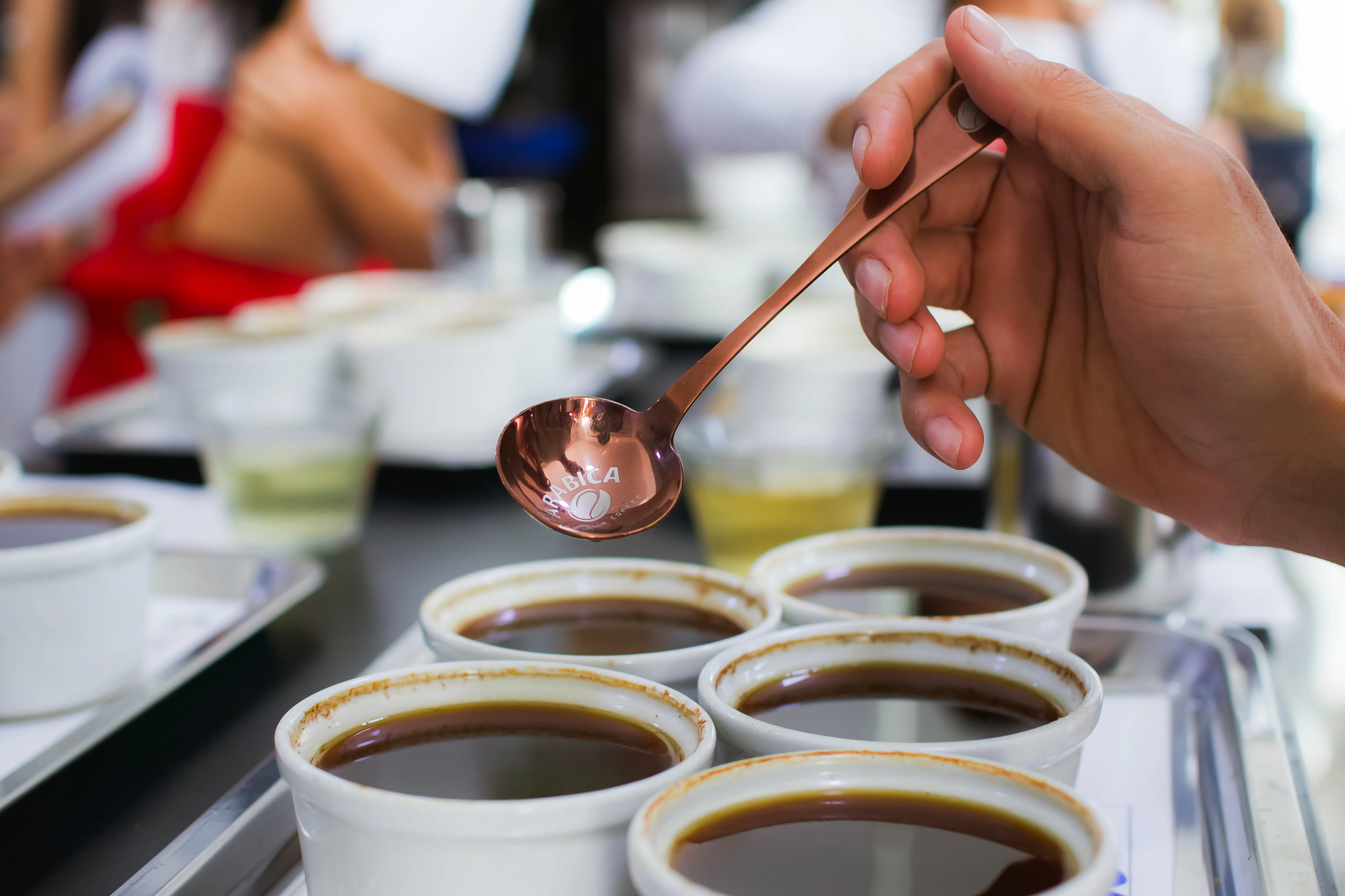 Catación de café