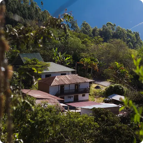 Finca cafetalera
