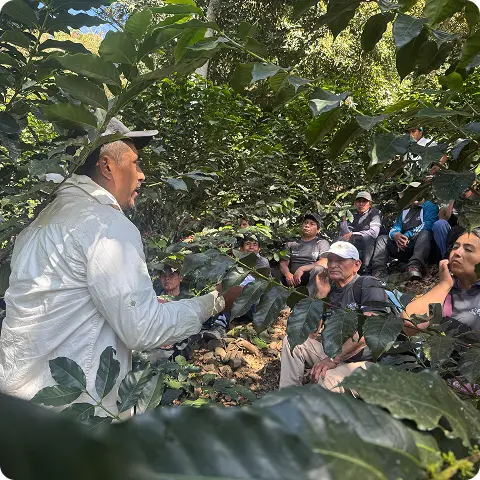 Capacitación en campo