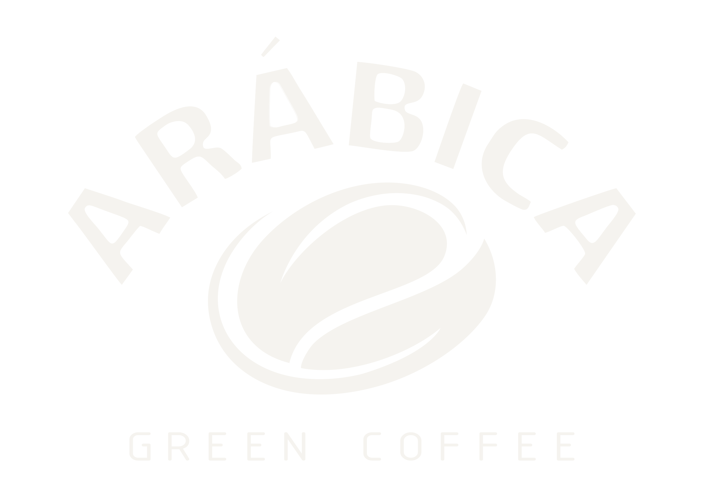 Arabica Green Coffee